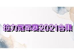 拉力冠军赛2021合集