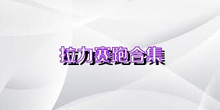 拉力赛跑合集