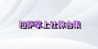 拉萨掌上社保合集