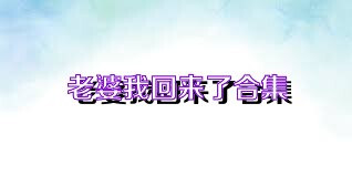 老婆我回来了合集