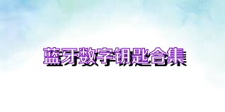 蓝牙数字钥匙合集