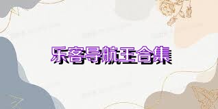 乐客导航王合集