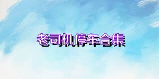 老司机停车合集