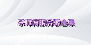 乐师傅服务版合集
