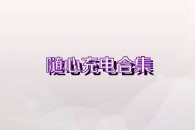 随心充电合集