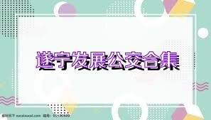 遂宁发展公交合集