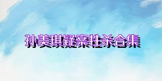 孙美琪疑案牲杀合集