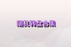 随机转盘合集