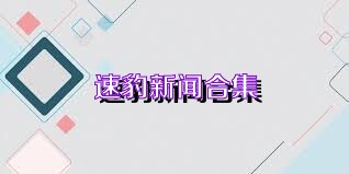 速豹新闻合集