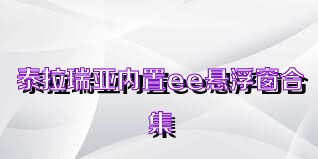 泰拉瑞亚内置ee悬浮窗合集
