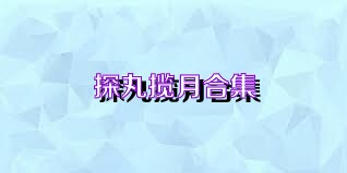 探丸揽月合集