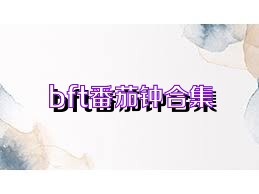 bft番茄钟合集