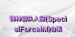 特种部队入侵(SpecialForceIM)合集