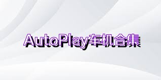 AutoPlay车机合集