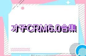 才子CRM6.0合集