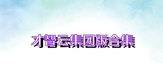 才智云集团版合集