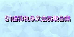 51虚拟机永久会员版合集
