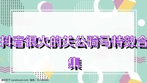 抖音很火的关公骑马特效合集