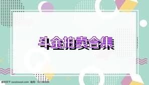 斗金拍卖合集