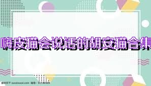 嗨皮猫会说话的胡安猫合集
