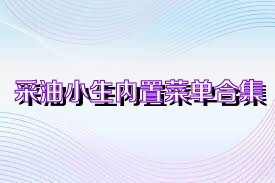 采油小生内置菜单合集