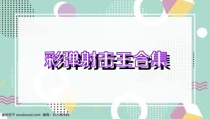 彩弹射击王合集