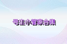 号主小管家合集