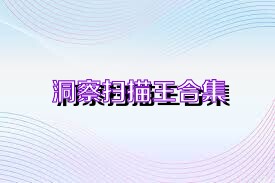 洞察扫描王合集