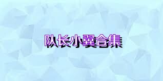 队长小翼合集