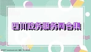 四川政务服务网合集