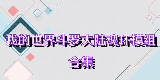 我的世界斗罗大陆魂环模组合集
