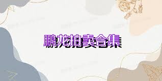 鹏龙拍卖合集