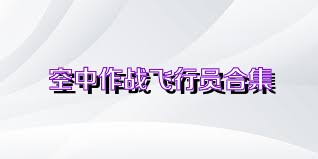 空中作战飞行员合集