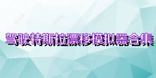 驾驶特斯拉漂移模拟器合集