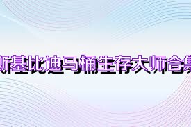 斯基比迪马桶生存大师合集