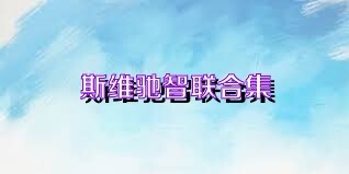 斯维驰智联合集