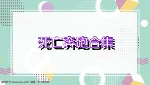 死亡奔跑合集