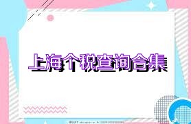 上海个税查询合集