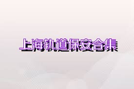 上海轨道保安合集