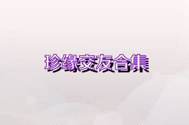 珍缘交友合集