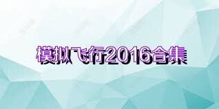 模拟飞行2016合集