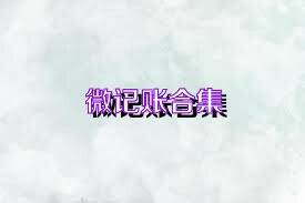 微记账合集