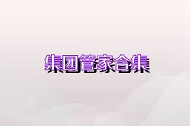 集团管家合集