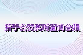 济宁公交实时查询合集