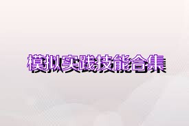 模拟实践技能合集