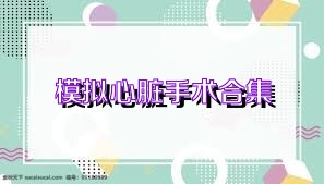 模拟心脏手术合集
