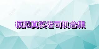 模拟真实老司机合集