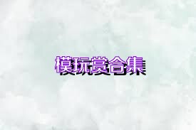 模玩赏合集