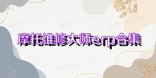 摩托维修大师erp合集