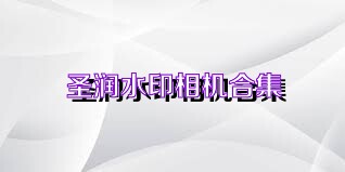 圣润水印相机合集